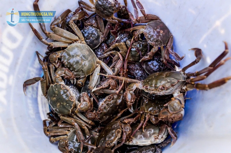 Cua lông việt nam