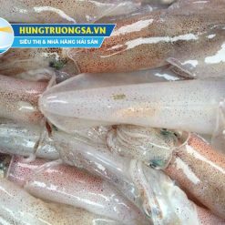 mực ống nháy size nhỏ