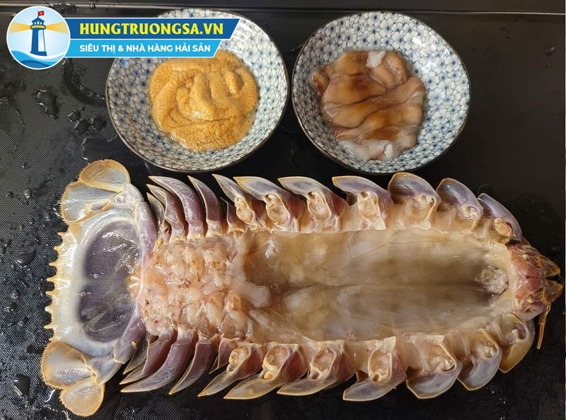 thịt trứng bọ biển size 0.5 - 0.9kg
