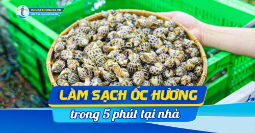 3 cach lam sach oc huong hts