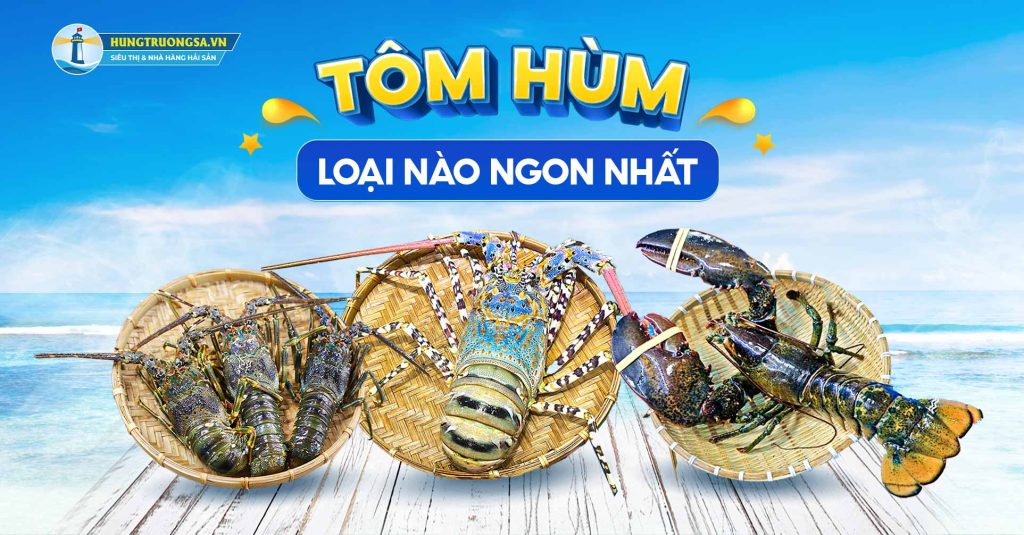 Loài Tôm Hùm Loại Nào Ngon Nhất, Bạn Đã Biết Chưa?