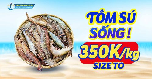 tom su song 350k hts