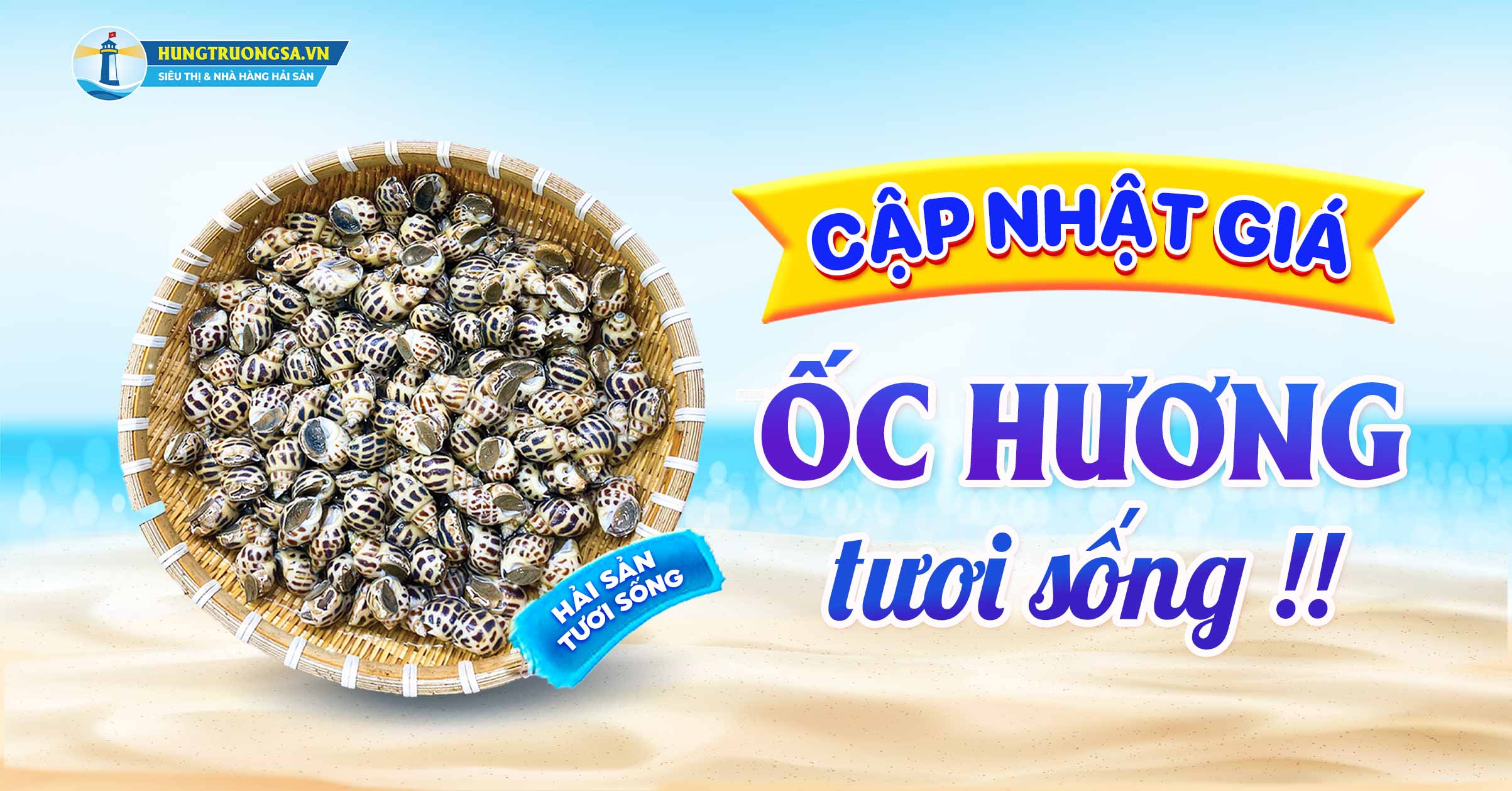 cap nhat gia oc huong tuoi song chi tiet
