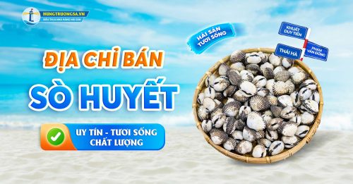 dia chi ban so huyet uy tin o Ha Noi chat luong