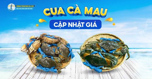 cap nhat gia cua ca mau hts