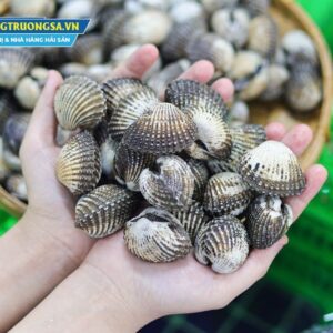 sò huyết xào bơ