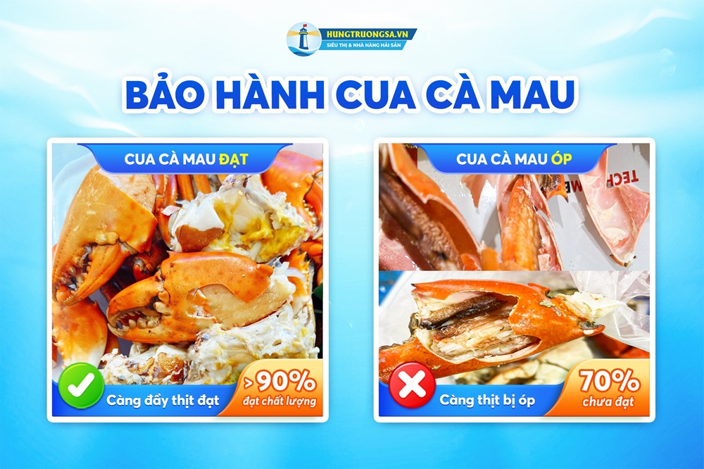 bảo hành cua cà mau 2