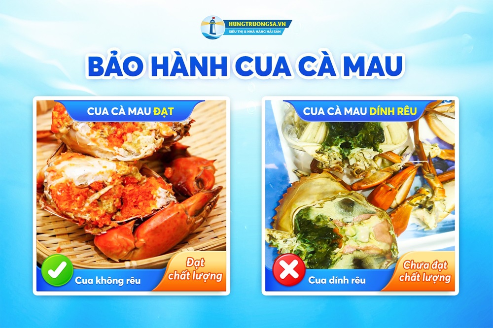 bảo hành cua cà mau dính rêu