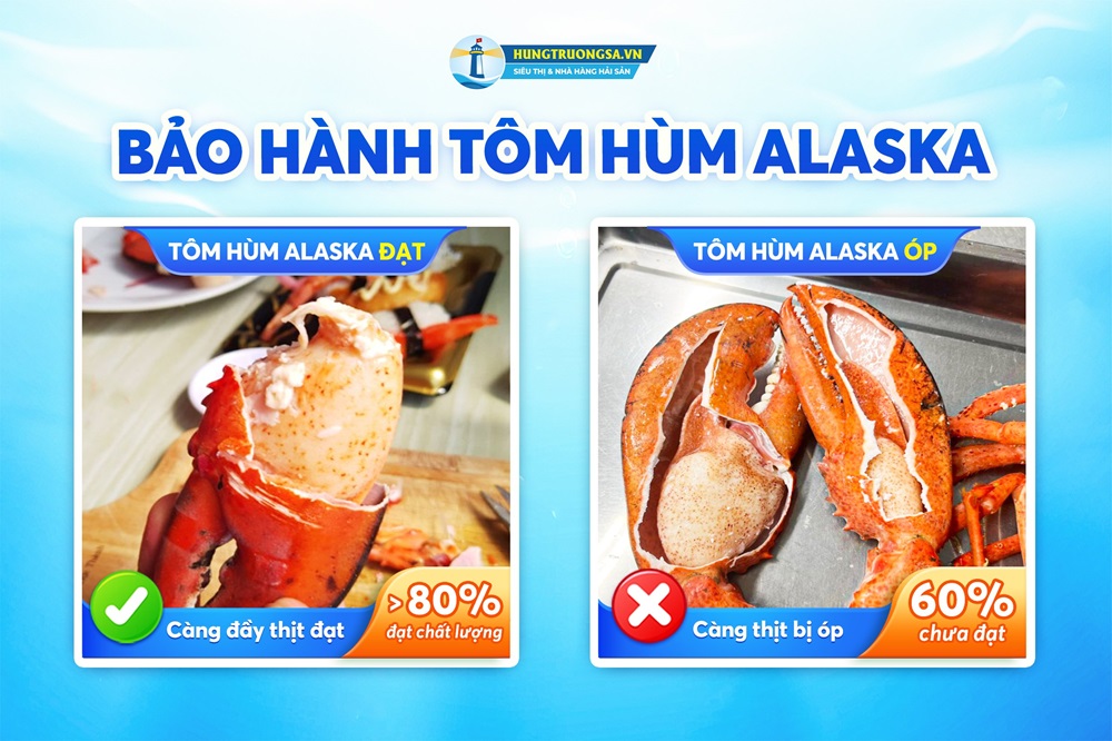 bảo hành tôm hùm alaska