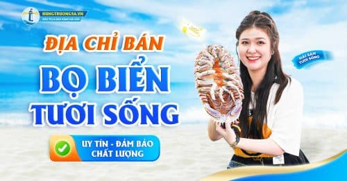 địa chỉ bán bọ biển tươi ngon uy tín