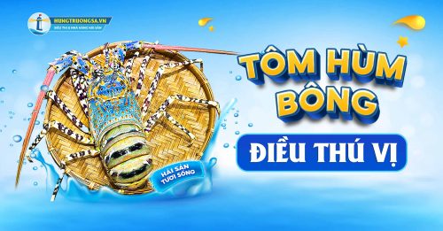 tom-hum-bong-dieu-thu-vi hts