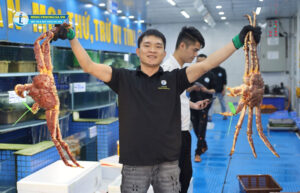 Loại Cua được ưa chuộng nhất tại Hùng Trường Sa