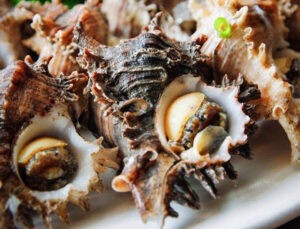 Mua ốc sư tử ở đâu?