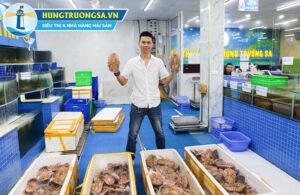 Bọ biển size 0.5-0.9kg Hùng Trường Sa