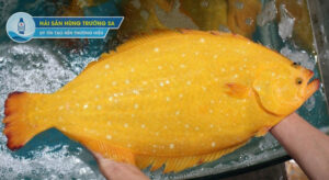 Cá Bơn vàng Hàn Quốc làm món gì ngon?