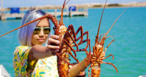 Cách đánh bắt tôm hùm Tây Úc