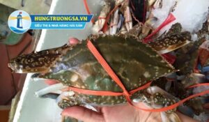 Mua ghẹ bầu chắc thịt ở đâu?