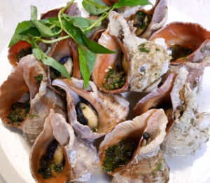 Cách làm ốc miệng rộng hấp sả