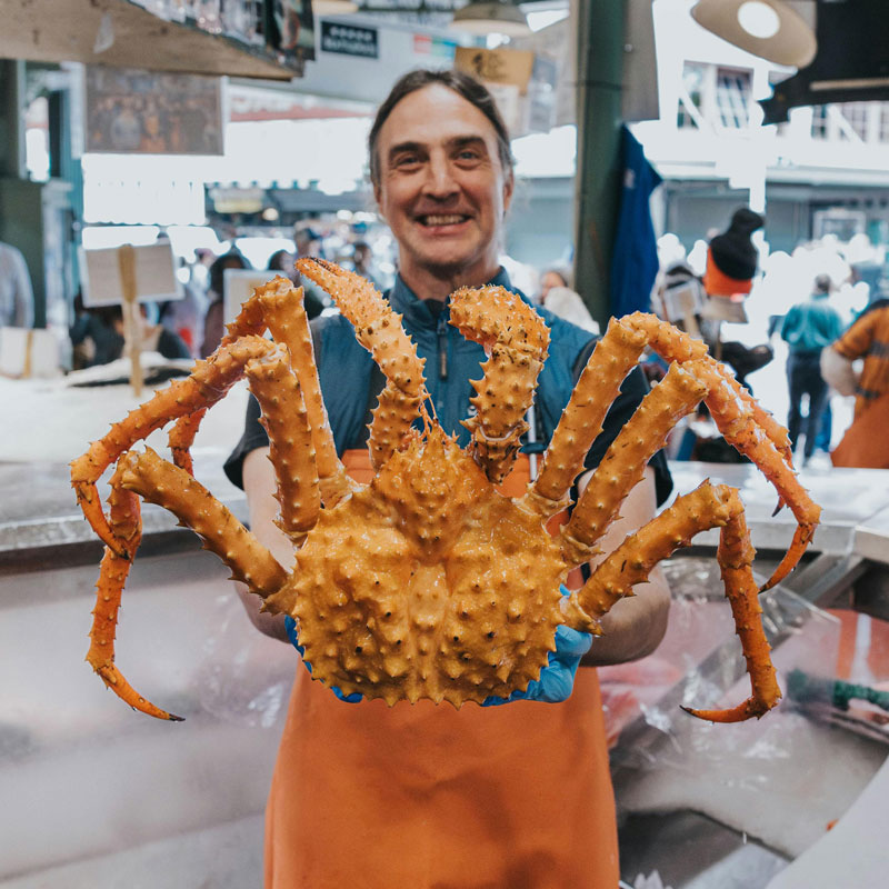 Cua hoàng đế Alaska (Alaskan King Crab) là loài cua biển kích thước lớn