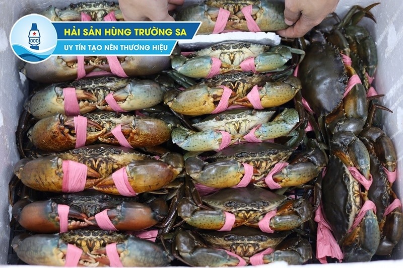 Địa chỉ cung cấp cua biển tươi sống chất lượng