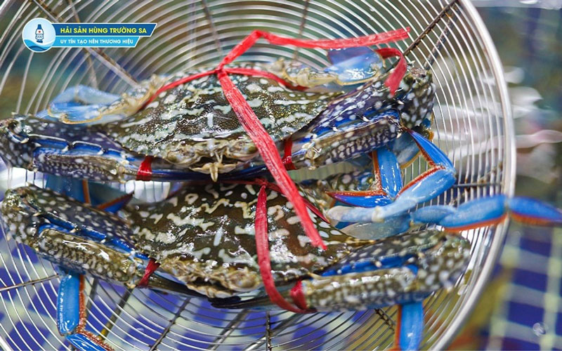 Nơi bán ghẹ tươi sống uy tín, chất lượng