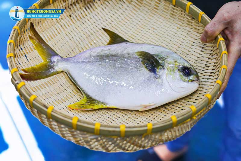 cá chim tươi sống tại Hải Sản Hùng Trường Sa