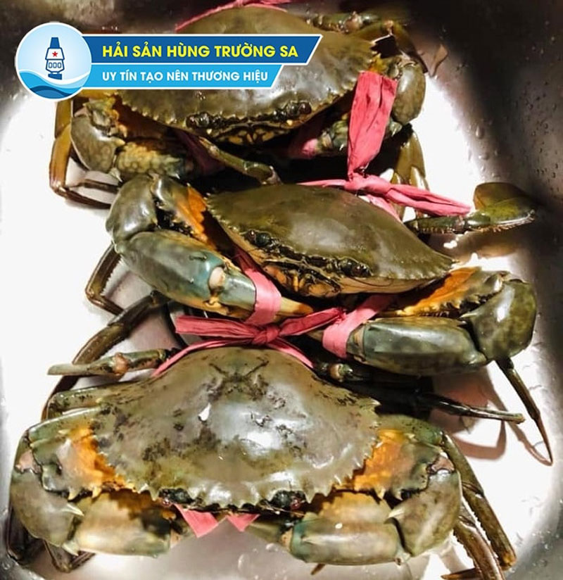 Cua thịt đến từ Cà Mau