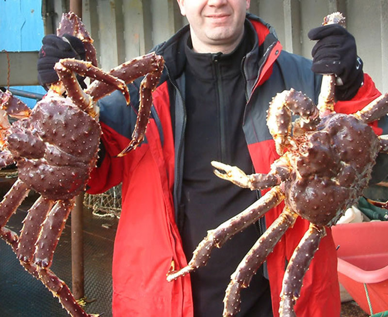 Cua hoàng đế (King Crab)