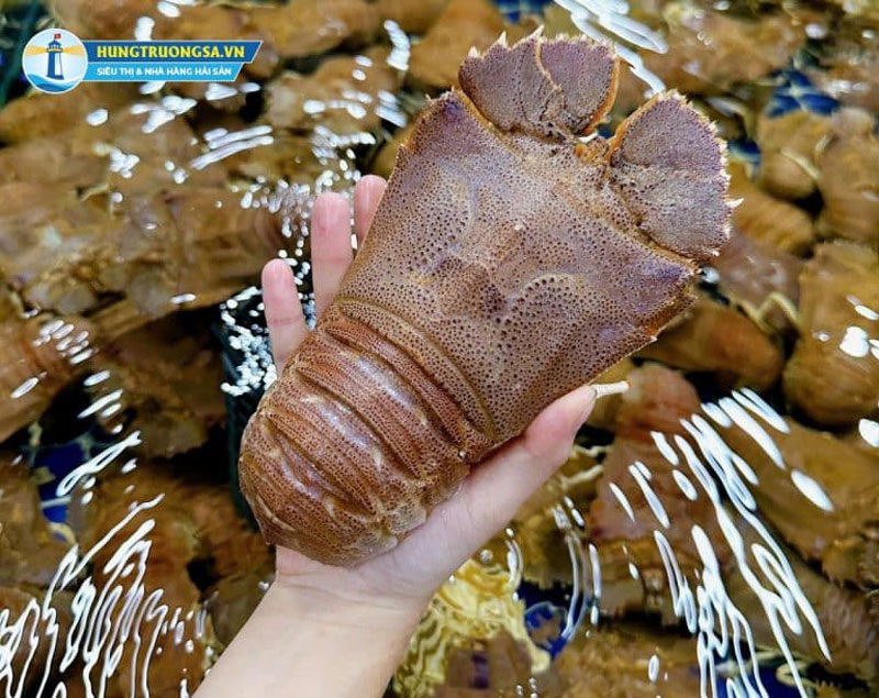 Nguyên liệu làm tôm mũ ni nướng phô mai