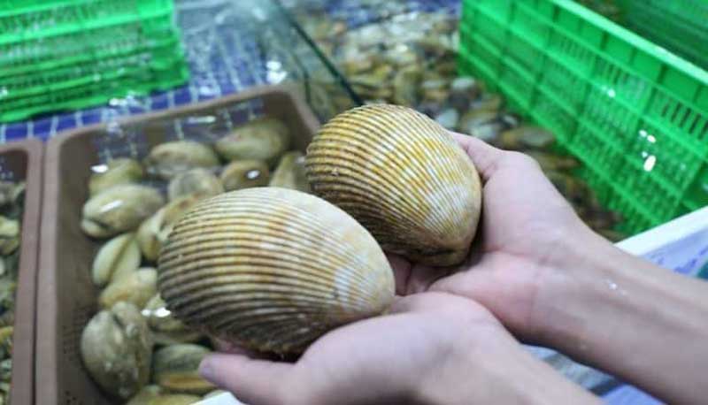 Sò dương tươi sống là nguyên liệu chính không thể thiếu