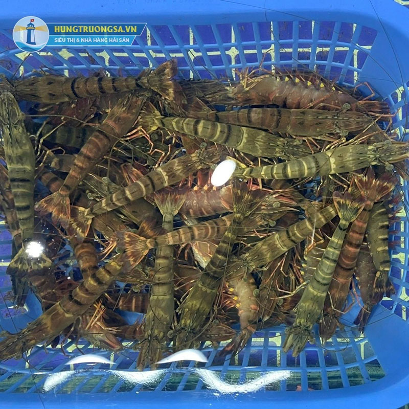 Tôm tươi sống tại Hải Sản hùng Trường Sa