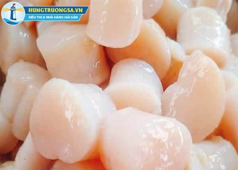 Cồi mai đông lạnh tại Hùng Trường Sa