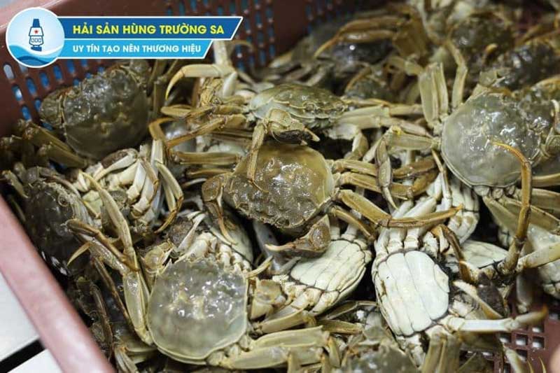 Mua cua lông Thượng Hải tươi sống tại Hải Sản Hùng Trường Sa
