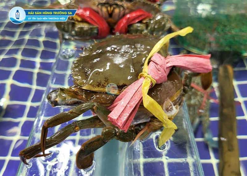 Cua cốm tươi sống