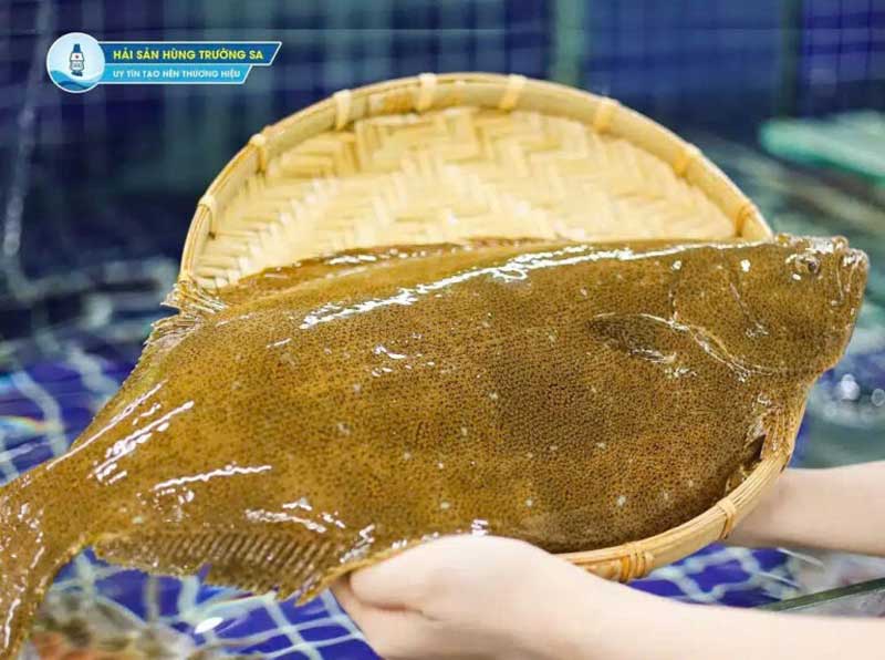 Cá bơn tươi ngon lại Hùng Trường Sa để làm chiên giòn