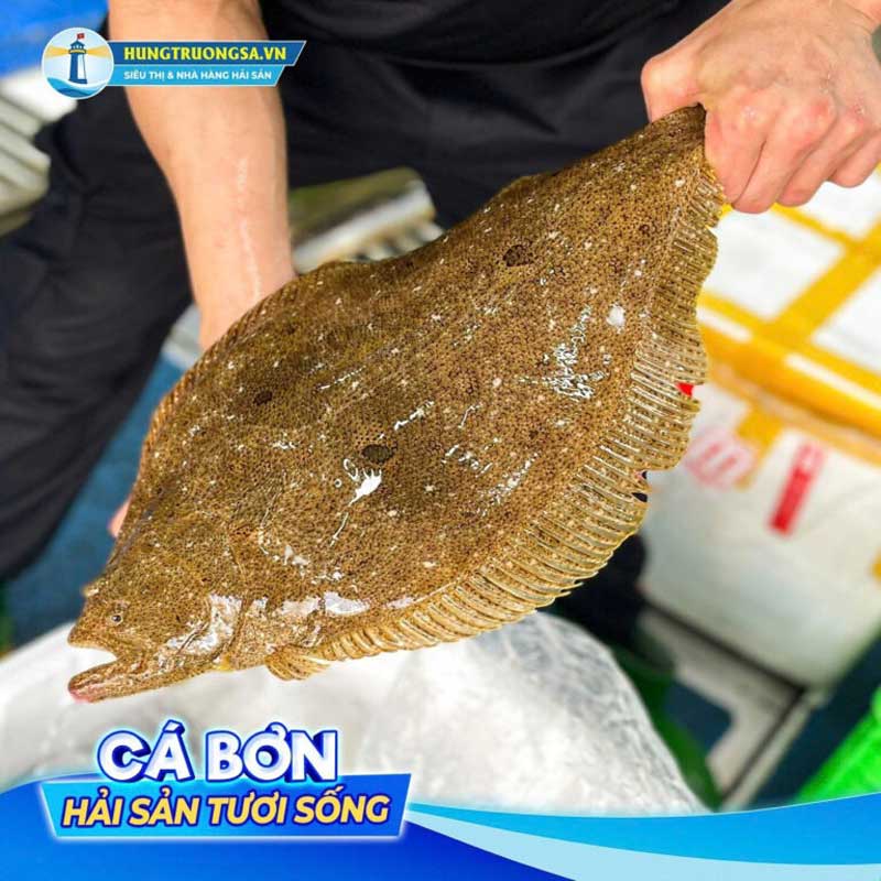 Nguyên liệu cá bơn tươi sống tại Siêu Thị Hùng Trường Sa