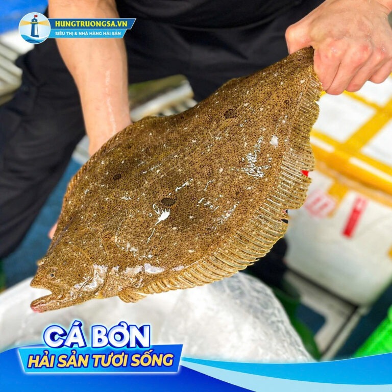 Nguyên liệu cá bơn Hàn Quốc tươi sống tại Siêu thị Hùng Trường Sa