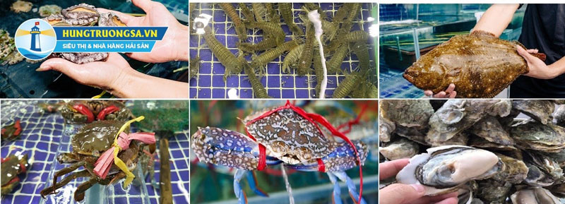 Hải sản tươi sống 100% tại bể tại Siêu thị Hùng Trường Sa