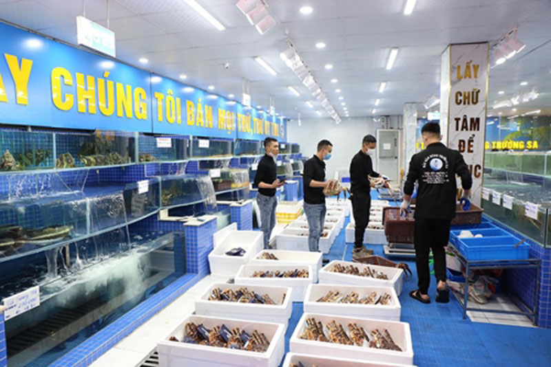 Hải sản ở Siêu thị Hùng Trường Sa luôn tươi sống 100%, khách chọn hải sản trực tiếp tại bể