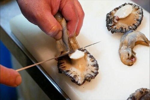 Giai đoạn sơ chế bào ngư rất quang trọng