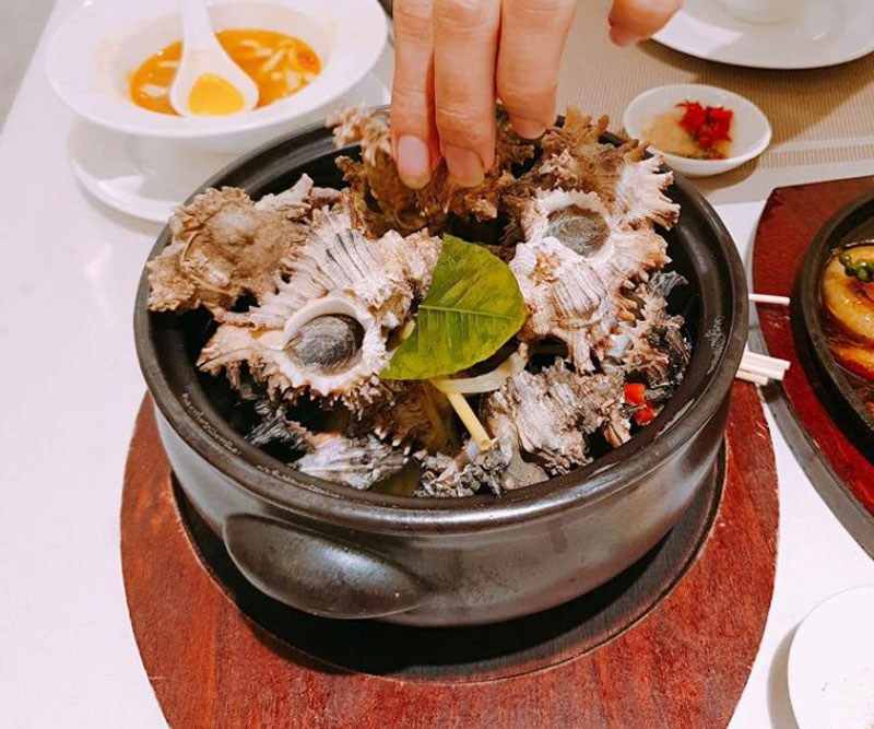 Chế biến ốc sư tử hấp sả đúng cách