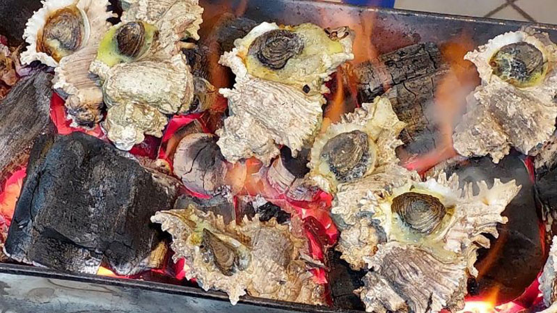Nướng ốc sư tử bằng than
