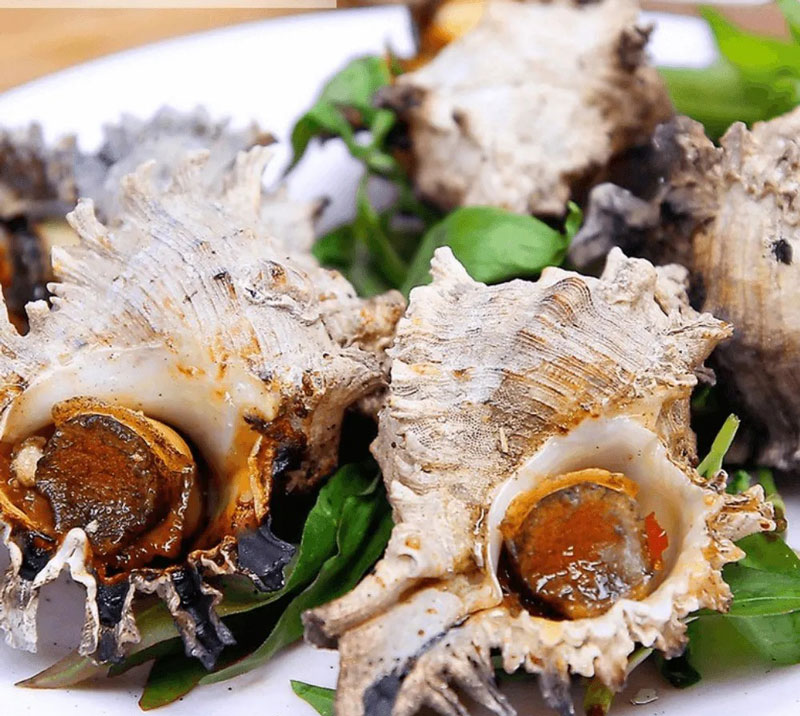 Thành phẩm món ốc sư tử hấp sả