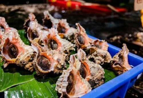 Thành phẩm ốc sư tử nướng mọi