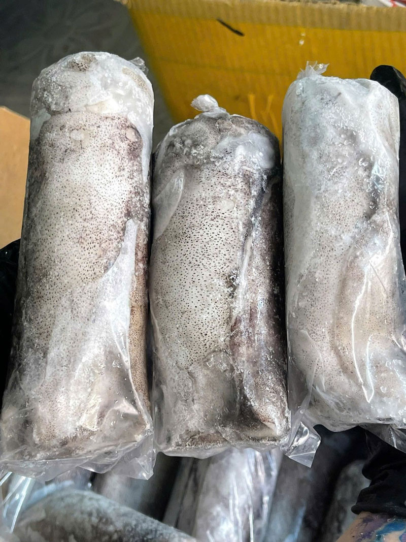 Mực lá cuộn Hùng Trường Sa