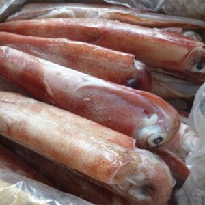 Mực Ống Thước