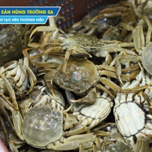 Cua lông Thượng Hải