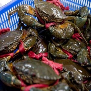 Cua Thịt Nhỏ (300-450gr)