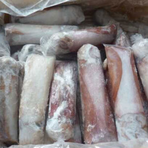 Mực lá nguyên con cấp đông