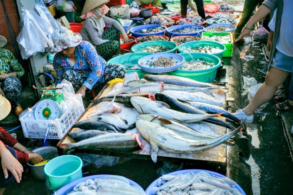 Chợ hải sản các đầu mối lớn